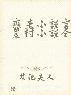 恋老小说言情网农村小说全文阅读