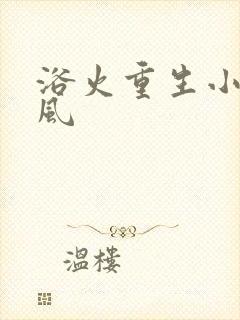 浴火重生小说陈风