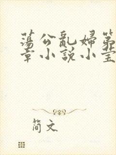 荡公乱妇第51章小说小莹