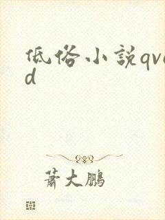 低俗小说qvod
