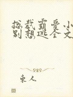 总裁霸爱小娇妻别想逃全文阅读免费