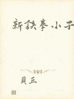 新铁拳小子