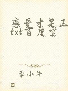 恋爱才是正经事txt百度云