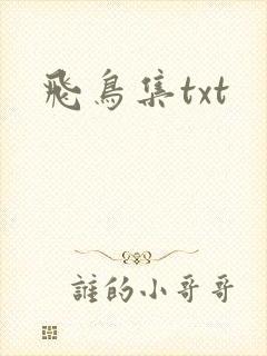 飞鸟集txt