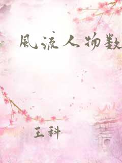 风流人物数当代