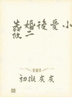 先婚后爱小说梦筱二