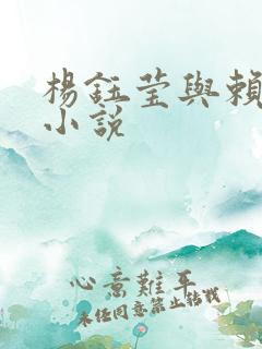 杨钰莹与赖昌星小说