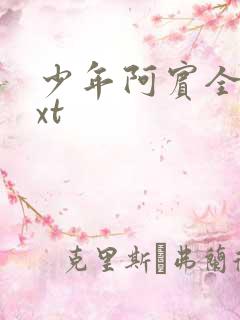 少年阿宾全集txt