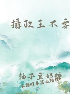 摄政王不要
