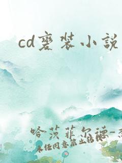 cd变装小说