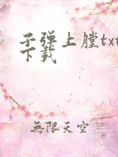 子弹上膛txt下载