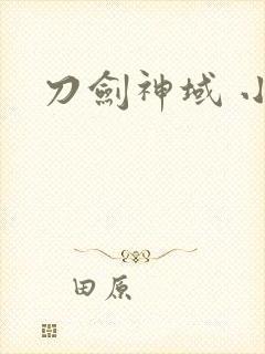 刀剑神域 小说