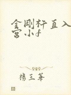 金刚杵直入莲花宫小f