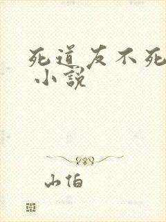 死道友不死贫道 小说