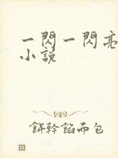 一闪一闪亮星星小说