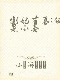 侧妃有喜:公主是小妾