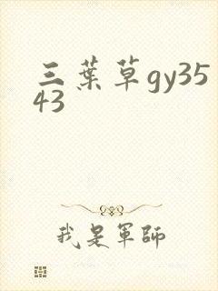 三叶草gy3543