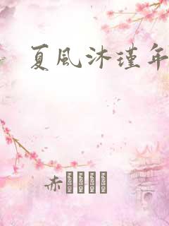 夏风沐瑾年