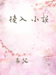 后入 小说