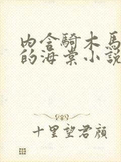 内含骑木马情节的海棠小说男主