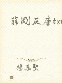 薛刚反唐txt