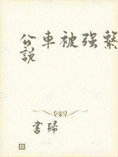 公车被强系列小说