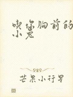 吃你胸前的两只小兔