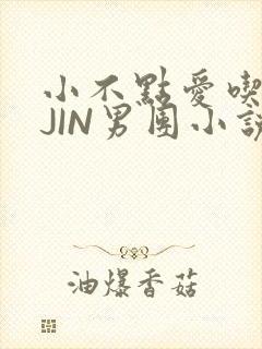 小不点爱吃肉混JIN男团小说