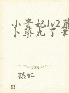 小贵妃1v2萝卜药丸了笔趣阁