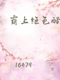 霸上绝色酷王爷