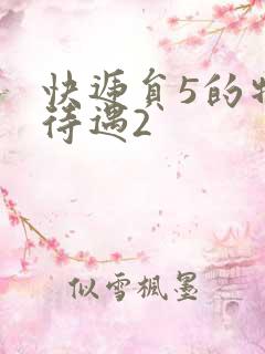 快递员5的特殊待遇2