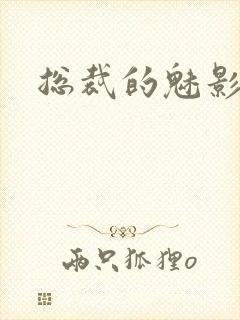 总裁的魅影情人