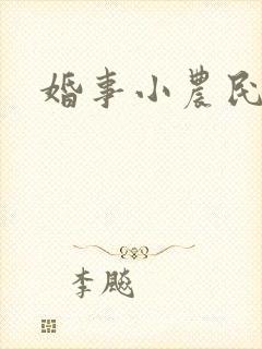 婚事小农民