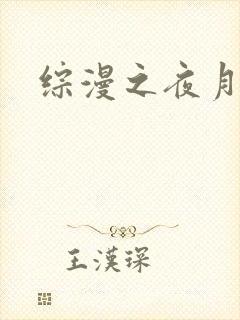 综漫之夜月