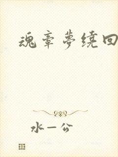 魂牵梦绕回大清