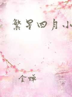 繁星四月小说