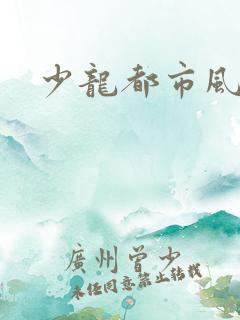 少龙都市风流行