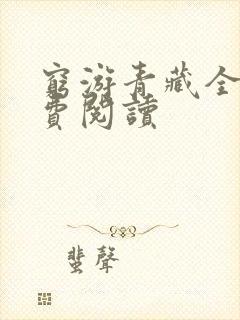 穷游青藏全文免费阅读