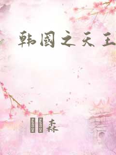 韩国之天王