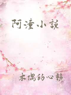 阿潼小说