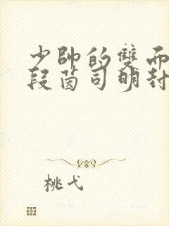 少帅的双面宠妻段茵司明封免费