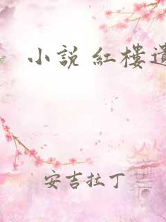小说 红楼遗秘