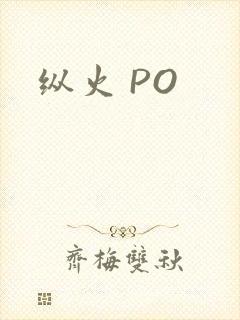 纵火 PO