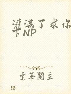 灌满了求你们停下NP