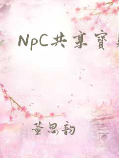NpC共享宝贝