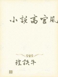 小说高官风流