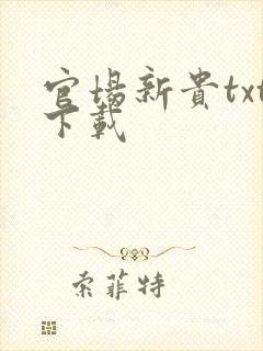 官场新贵txt下载