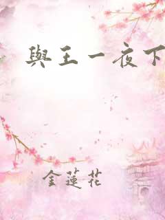 与王一夜下载
