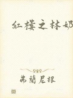 红楼之林奶奶