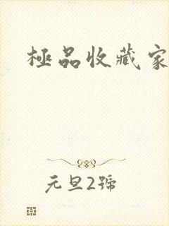 极品收藏家